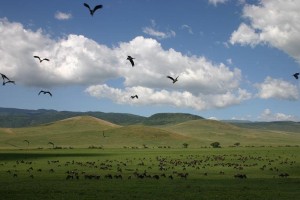 ngoro crater